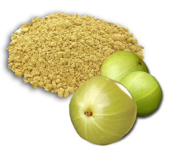 Manufacturers Exporters and Wholesale Suppliers of Amla Powder Sojat Rajasthan